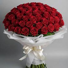 Букет 101 Красная роза Блэк Мэджик в Благовещенске Республики Башкортостан