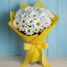 Букет цветов из:  Хризантемы в Благовещенске Республики Башкортостан