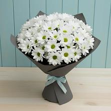 Букет цветов из:  Хризантемы #REPLACE_PRED# Благовещенске Республики Башкортостан