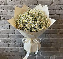 Букет цветов из:  Ромашки #REPLACE_PRED# Благовещенске Республики Башкортостан