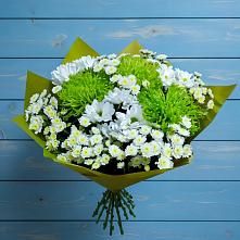 Букет цветов из:  Хризантемы в Благовещенске Республики Башкортостан