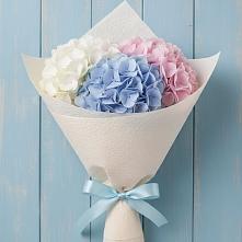 Букет цветов из:  Гортензия в Благовещенске Республики Башкортостан