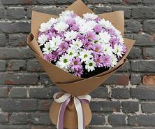 Букет цветов из:  Хризантемы в Благовещенске Республики Башкортостан