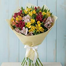 Букет цветов из:  Альстромерии в Благовещенске Республики Башкортостан
