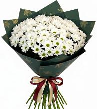 Букет цветов из:  Хризантемы в Благовещенске Республики Башкортостан