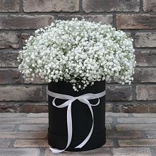 Цветочная композиция из Гипсофила в шляпной коробке в Благовещенске Республики Башкортостан