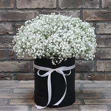 Цветочная композиция из Гипсофила в шляпной коробке в Благовещенске Республики Башкортостан
