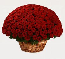 Премиум букет из: Розы в Благовещенске Республики Башкортостан